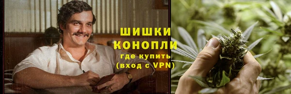 индика Каменск-Шахтинский
