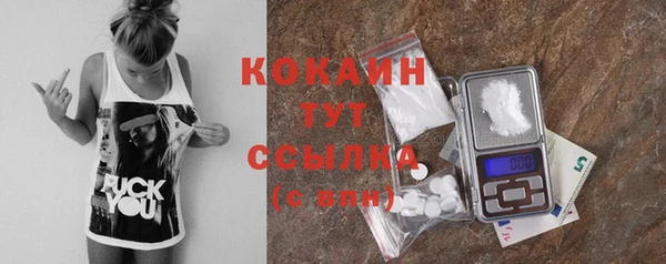 твердый Каменка