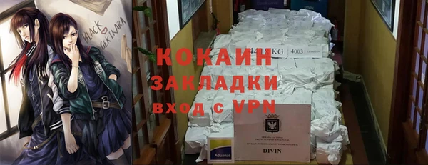 твердый Каменка